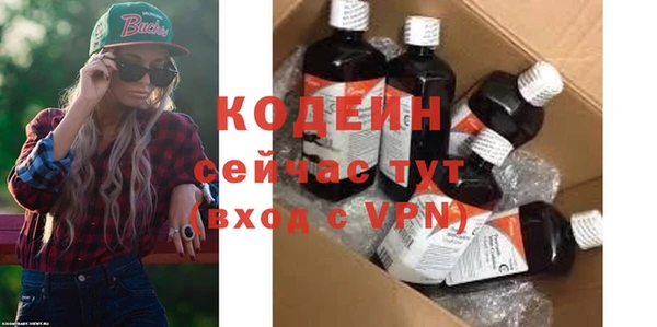 хмурый Инта