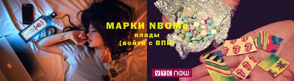 хмурый Инта