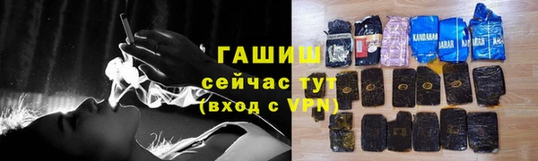 твердый Инсар