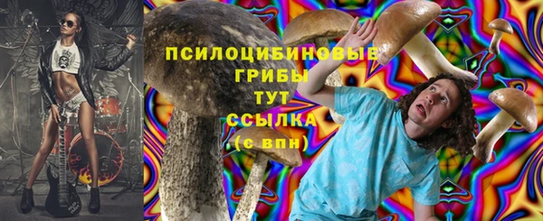 хмурый Инта