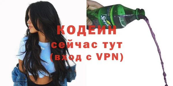 хмурый Инта