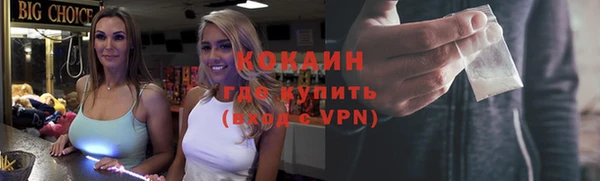 твердый Инсар