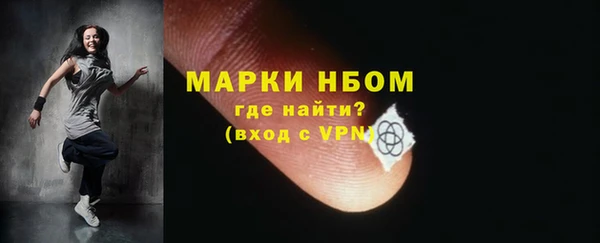 хмурый Инта