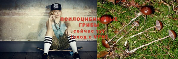 прущий лед Володарск