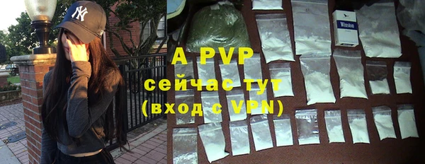 хмурый Инта
