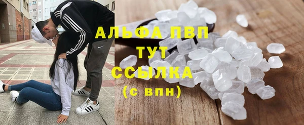 твердый Инсар