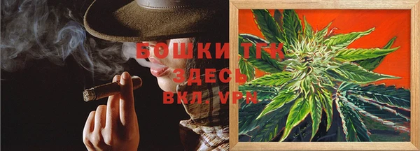 твердый Инсар