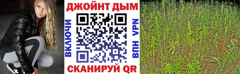 Канабис Bruce Banner  Купить закладки  Гвардейск 